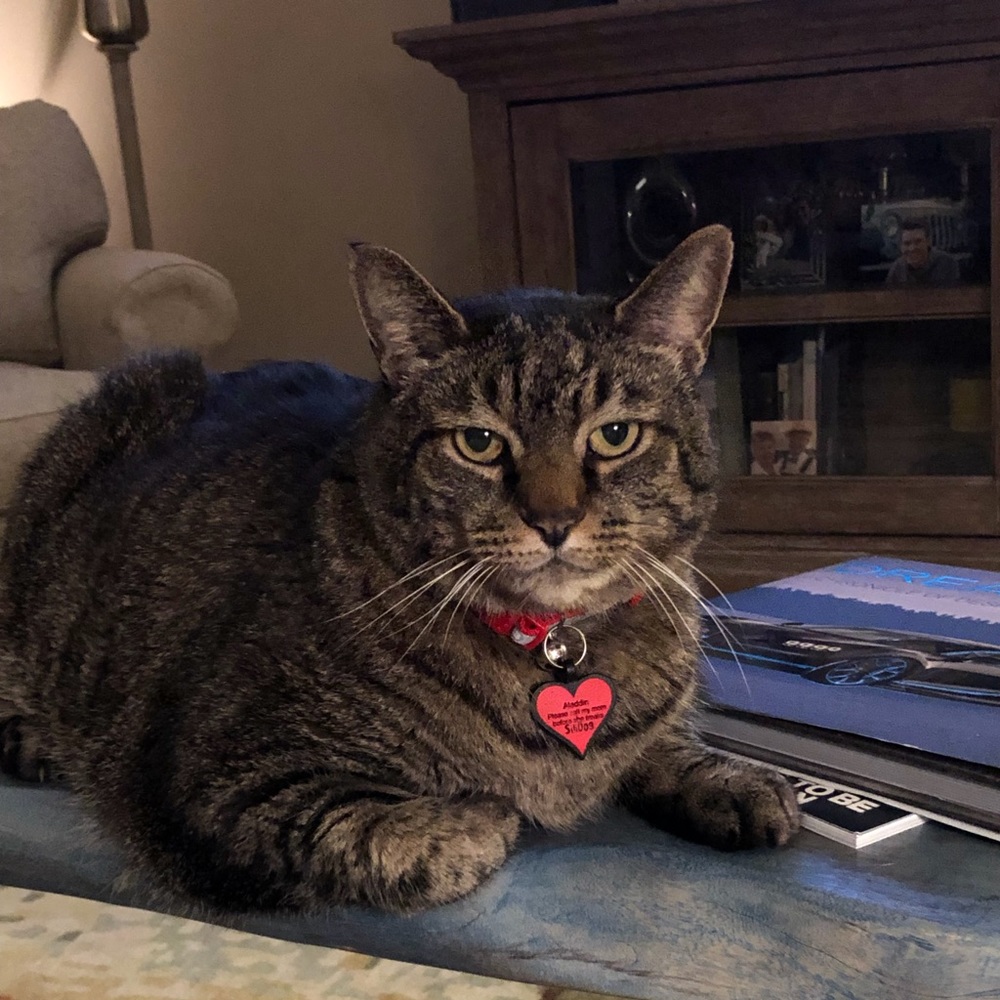 Meet your Posher, Karen